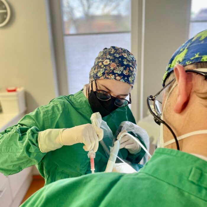 62fe6fb8-8501-4522-9ed8-25b6cd62f683