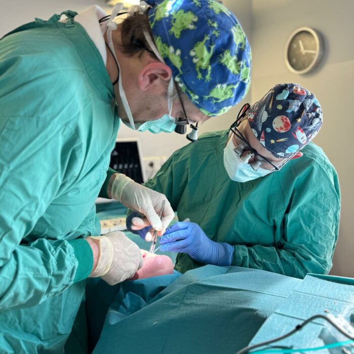 f5fa1054-3744-45bf-9c79-58bed1136868